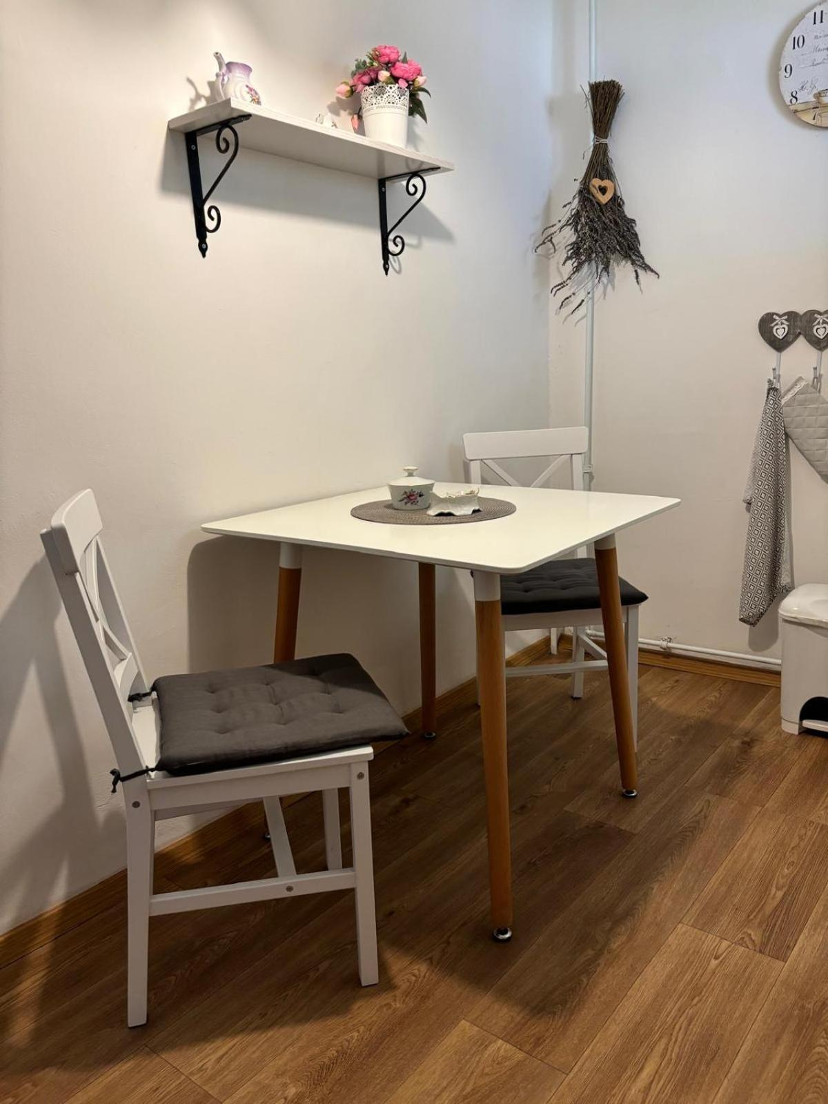 Apartman Vendy カルロヴィ・ヴァリ エクステリア 写真