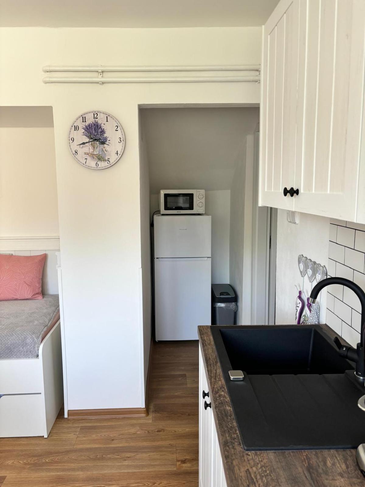 Apartman Vendy カルロヴィ・ヴァリ エクステリア 写真